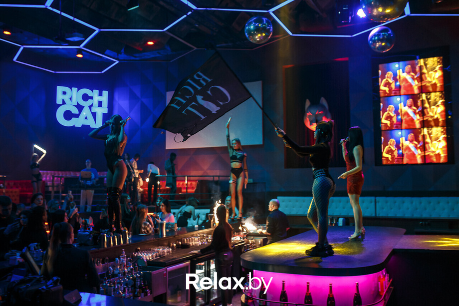 Вечеринка у кролика Роджера, фото № 21