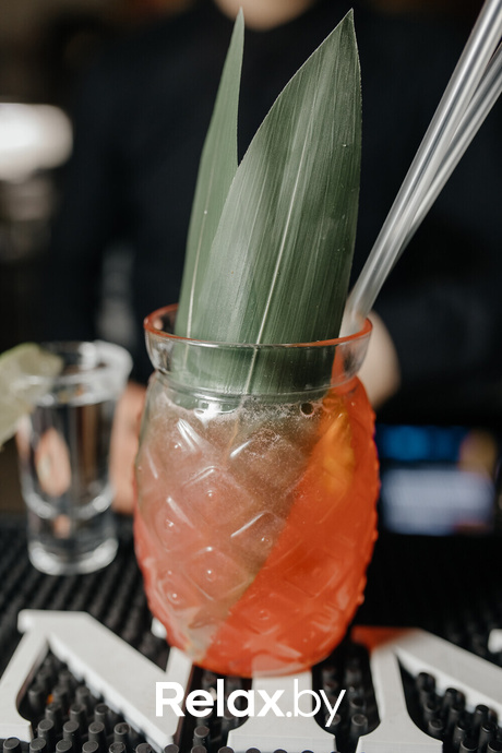 Terra Karaoke, фото № 34