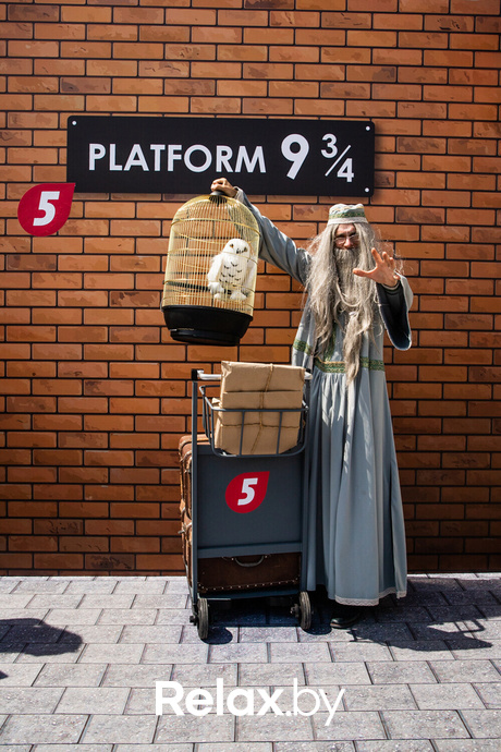 Детский фестиваль «Стоп, снято!», фото № 177