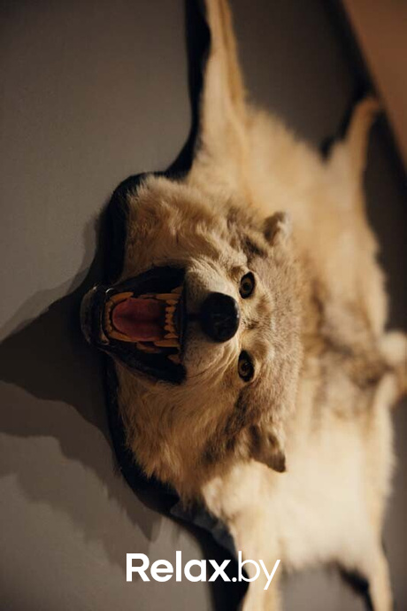 Отдыхаем Броварно, фото № 70