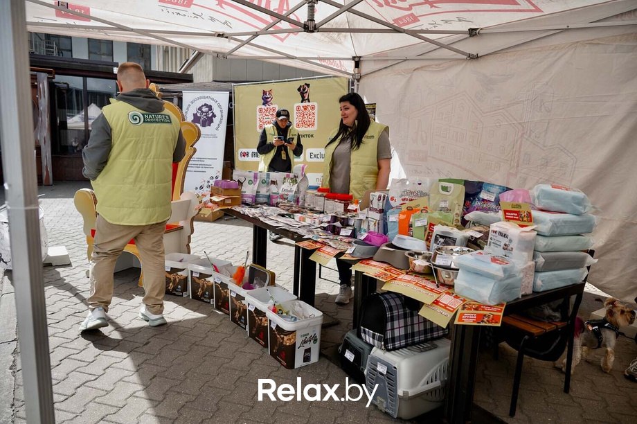 Акция пушистого добра, фото № 43