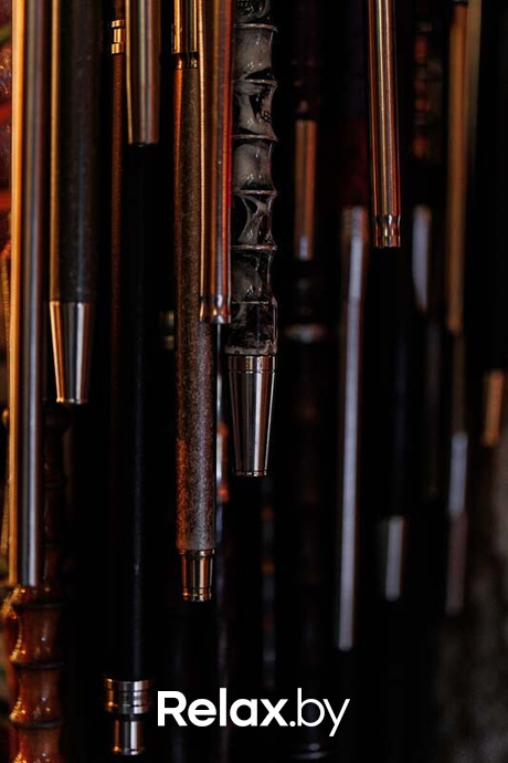 Live Music, фото № 20