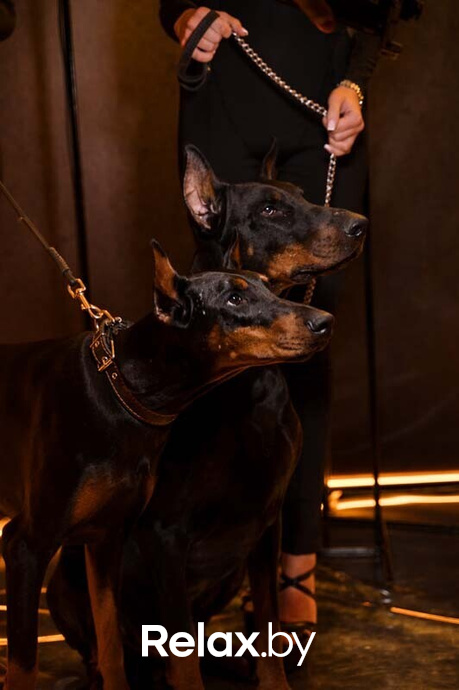 День рождения лаунж-ресторана NEFT, фото № 115