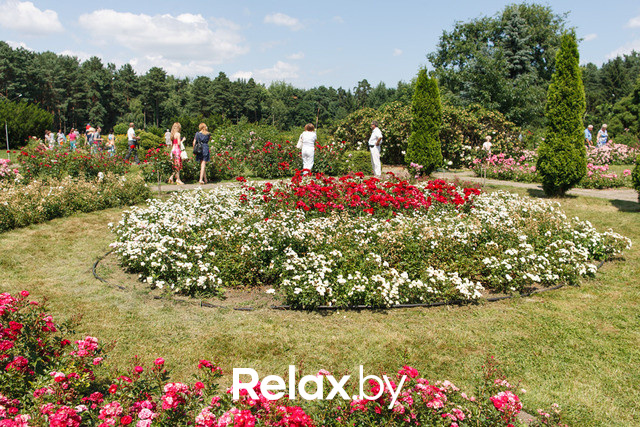 Фестиваль роз, фото № 18