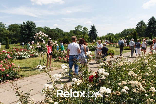 Фестиваль роз, фото № 20