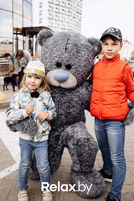 Акция Пушистого Добра, фото № 107