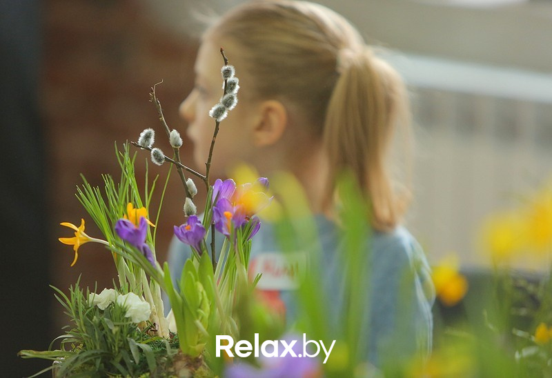 Воркшоп #Весенний лес, фото № 20