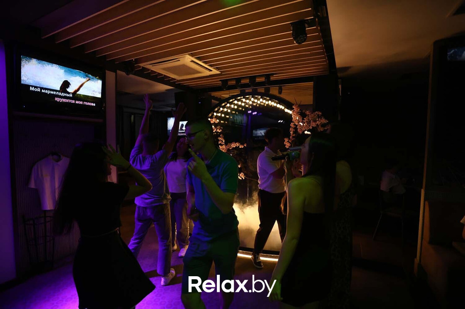 Терра Караоке, фото № 3