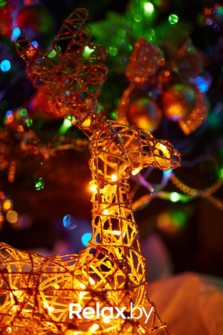 Караоке в «Ast club», фото № 12