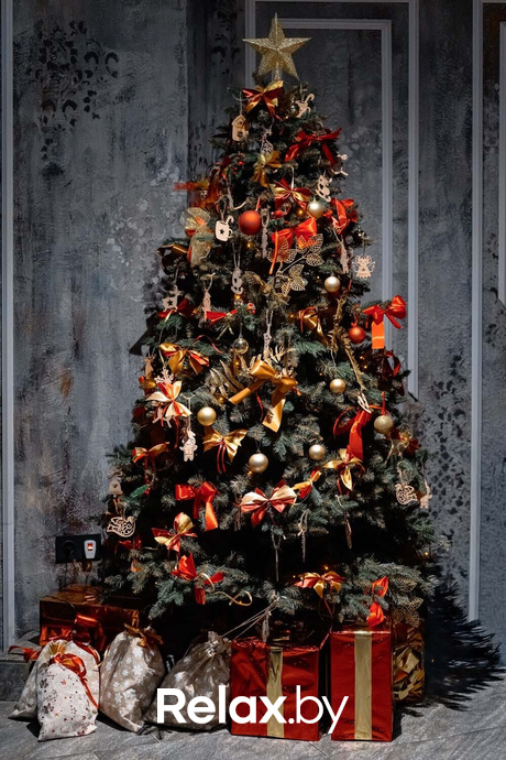 Новогодний корпоратив, фото № 30