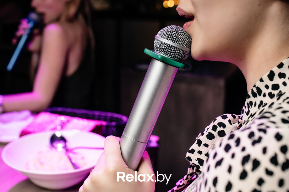 Terra Karaoke, фото № 26