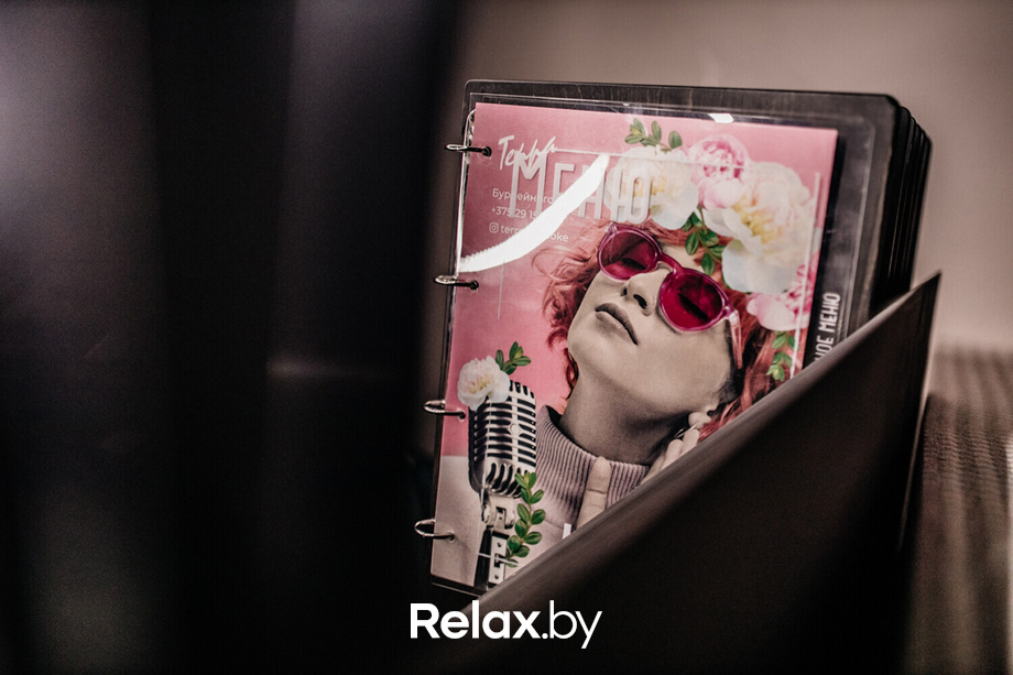 Terra Karaoke, фото № 30