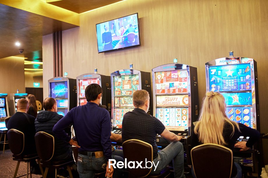 Шоу Пекинская капуста, фото № 18