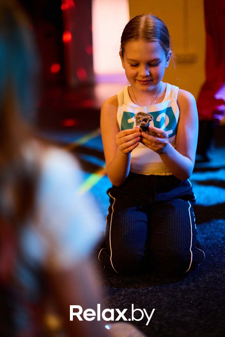 Игра на площадке «Игра в кальмара», фото № 32