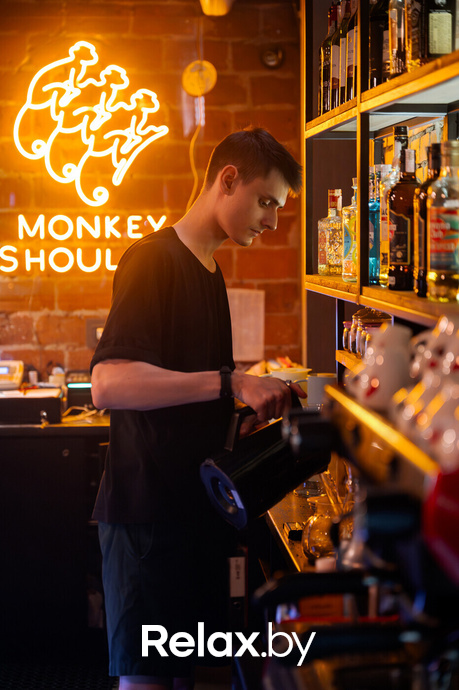 Monkey Brothers, фото № 12