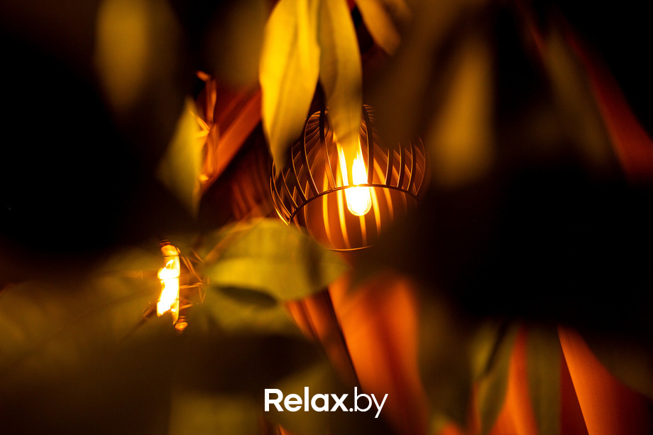 Ночь караоке, фото № 13