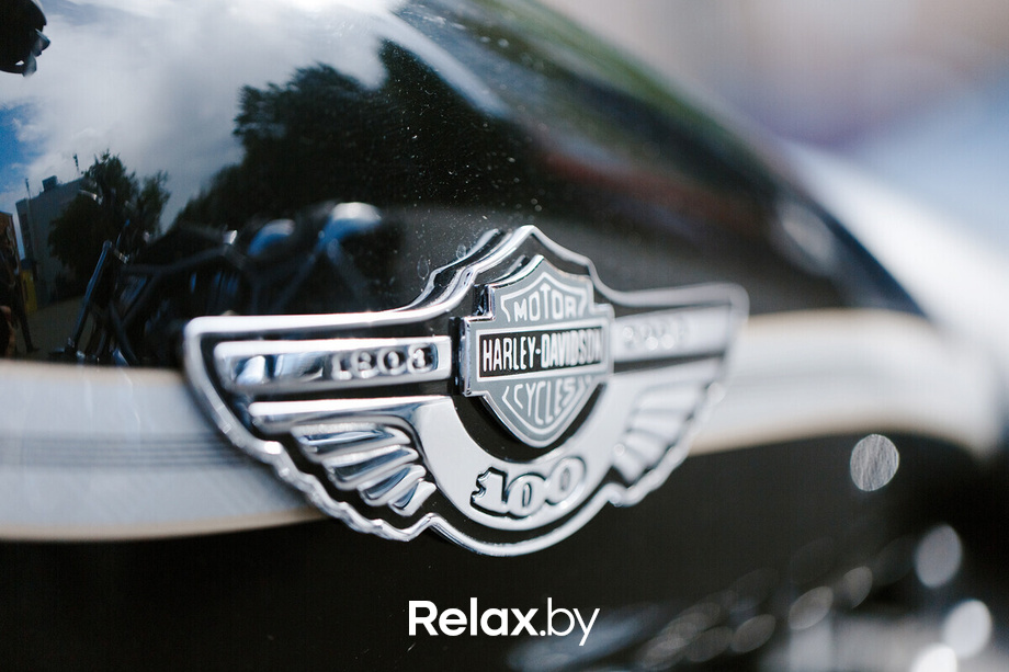 Rib Raw Harley, фото № 16