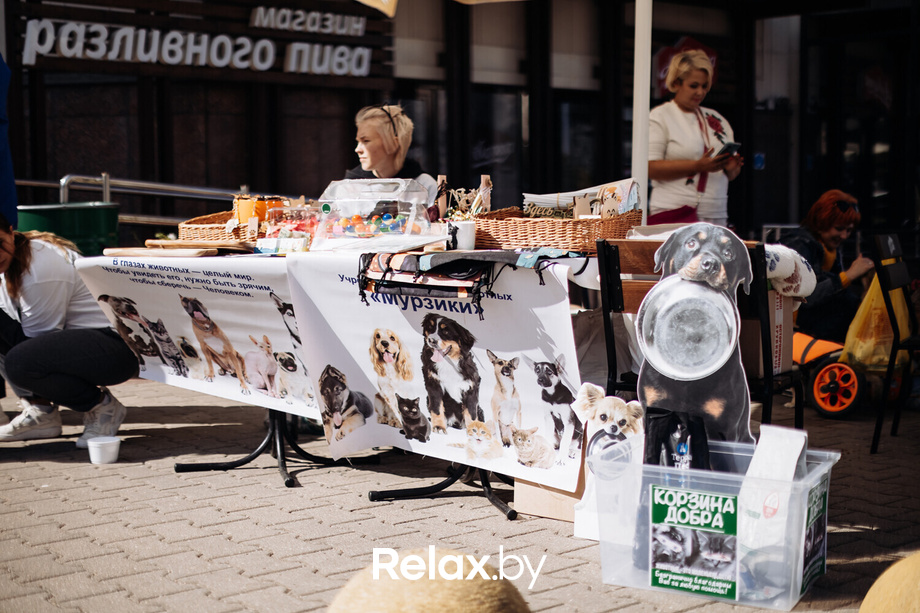 Акция Пушистого Добра, фото № 36