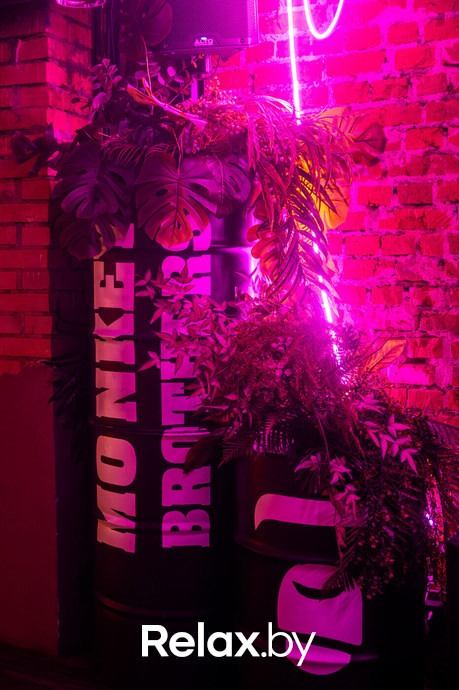 Monkey Brothers, фото № 17