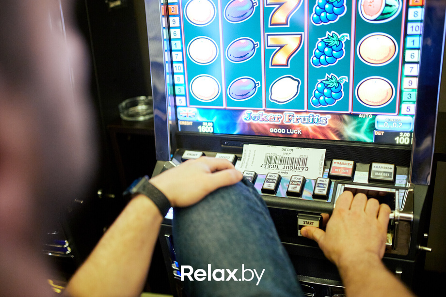 Пекинская капуста, фото № 5