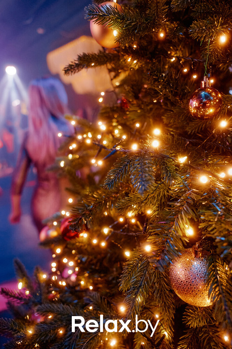 Новый Год в Ангелах, фото № 26