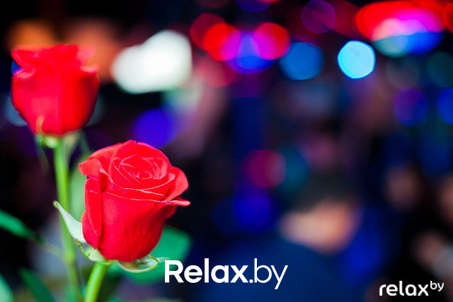 Next Club Show, фото № 29