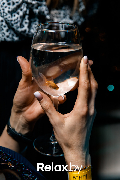 Ёлки 2022, фото № 23