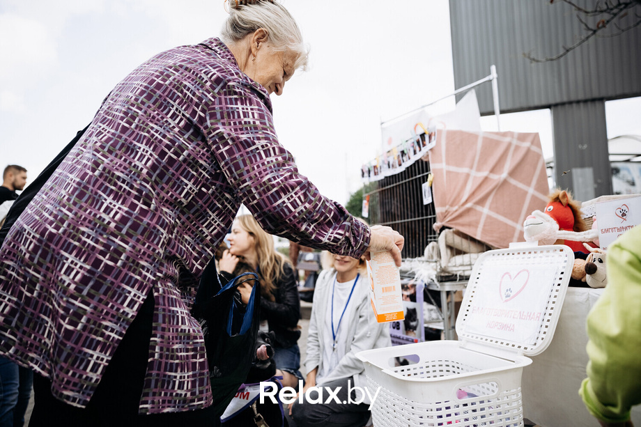 Акция Пушистого Добра, фото № 102