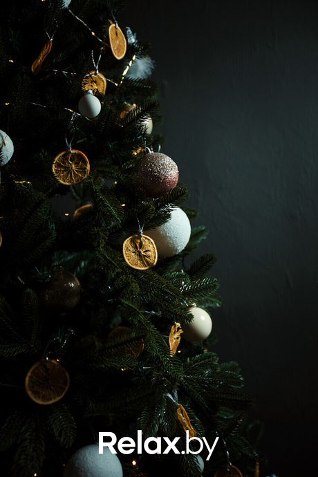 Новогодние вечера в Terra Club, фото № 82