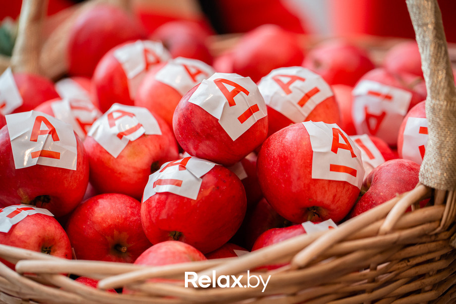 Open IT, фото № 116