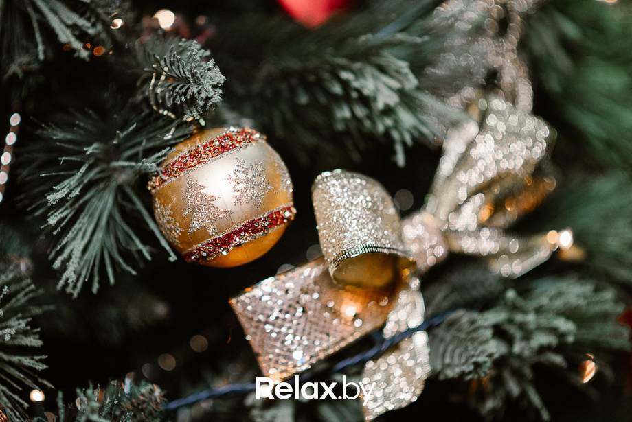 Выступление Анны Ничипоренко, фото № 21