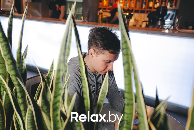 Party в terra формате, фото № 28