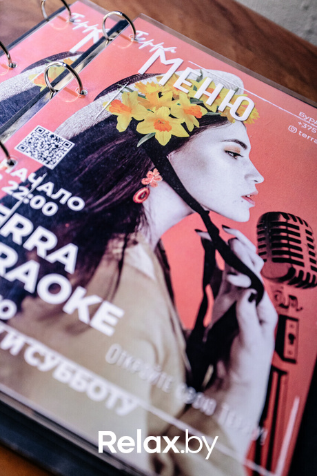 Terra Karaoke, фото № 19