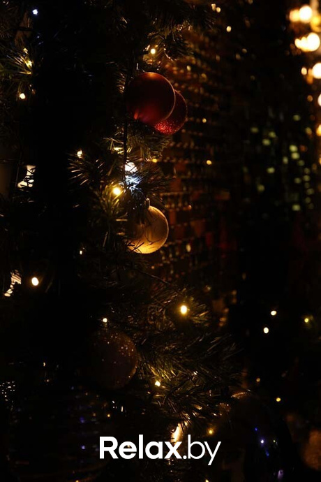 Terra Karaoke, фото № 26