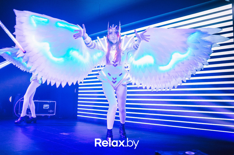 Birds show, фото № 21