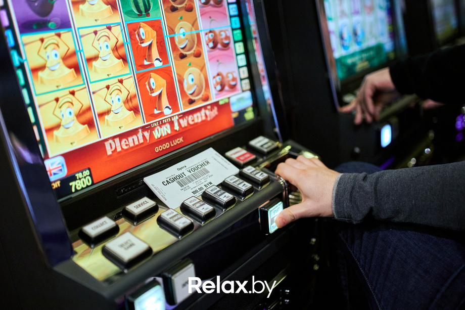 Пекинская капуста, фото № 15