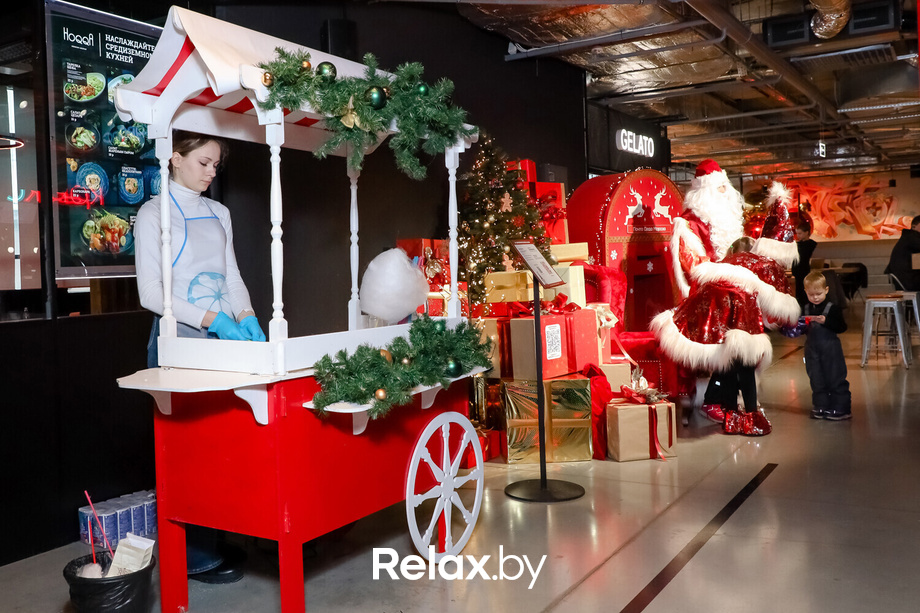 Резиденция Деда Мороза в Galileo, фото № 21