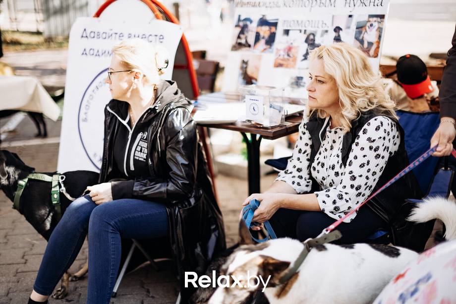 Акция Пушистого Добра, фото № 11