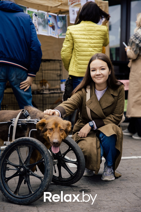 Благотворительная акция пушистого добра, фото № 28