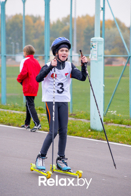 Золотая осень с Васильками, фото № 70