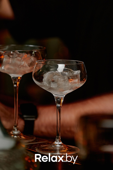 Monkey Brothers, фото № 5