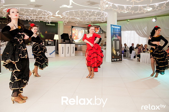 Презентация Panasonic, фото № 64