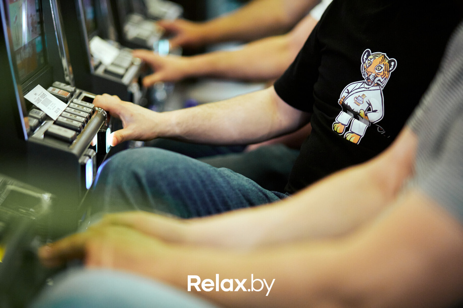 Пекинская капуста, фото № 28