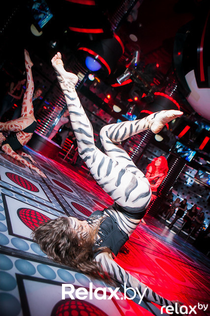 Next Club Show, фото № 38