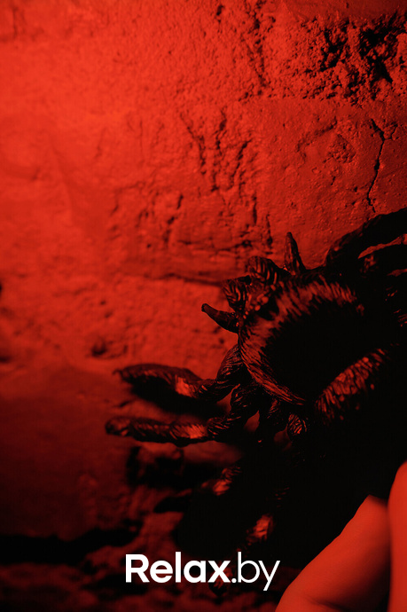 Live Music, фото № 61