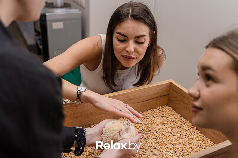 Открытие антикафе «Ёж кафе», фото № 28