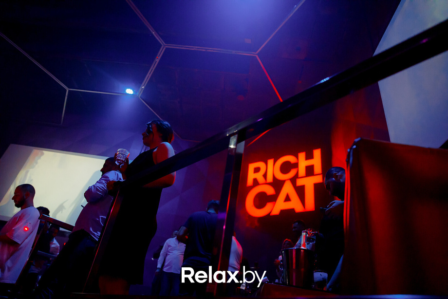 Rich Cat friday, фото № 50