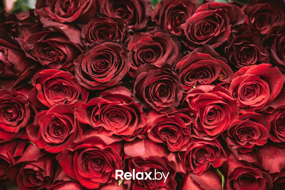 Welcome to Saint Tropez, фото № 15