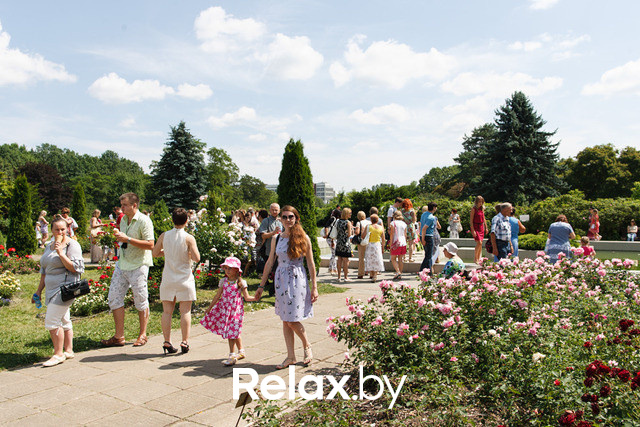 Фестиваль роз, фото № 52