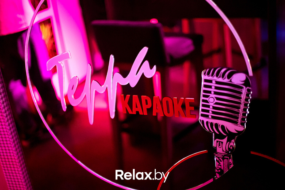 Terra Karaoke, фото № 31